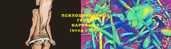 дмт Медногорск