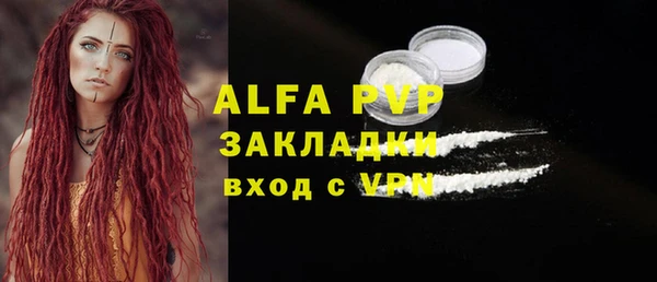 крисы Магас