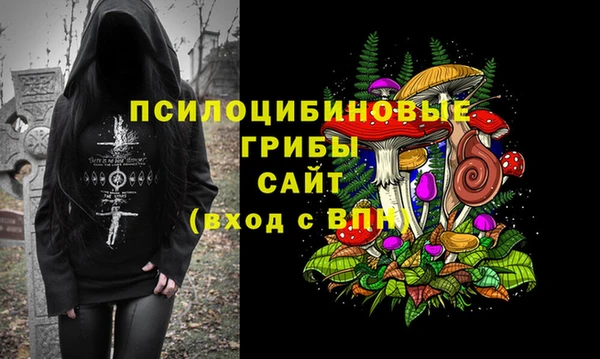 ALPHA-PVP Медвежьегорск