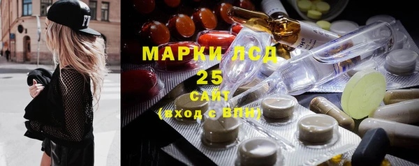 крисы Магас